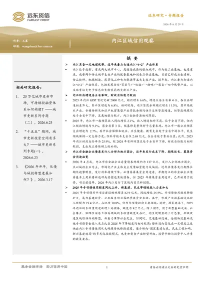 内江区域信用观察封面