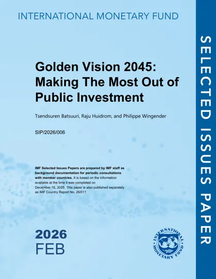 Golden Vision 2045: Making The Most Out of Public Investment封面