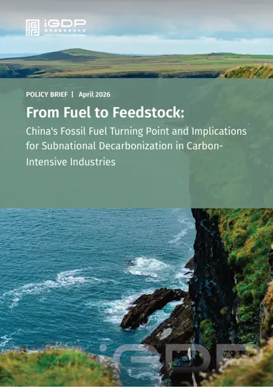 From Fuel to Feedstock: China's Fossil Fuel Turning Point and Implications for Subnational Decarbonization in Carbon-Intensive Industries封面