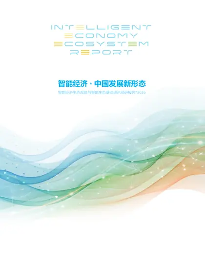 智能经济：中国发展新形态封面
