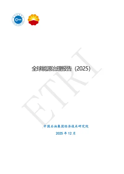 全球能源治理报告（2025）封面