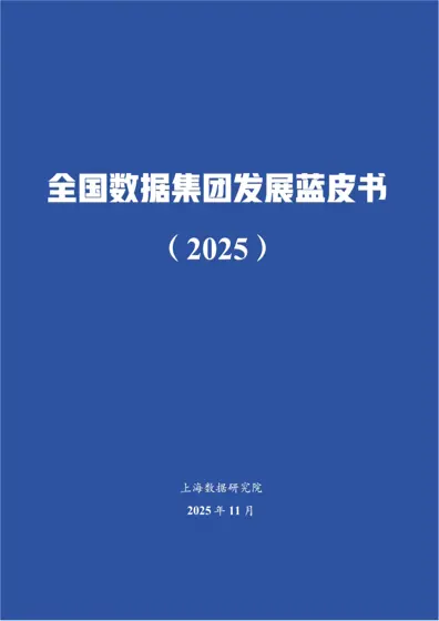 全国数据集团发展蓝皮书（2025）封面