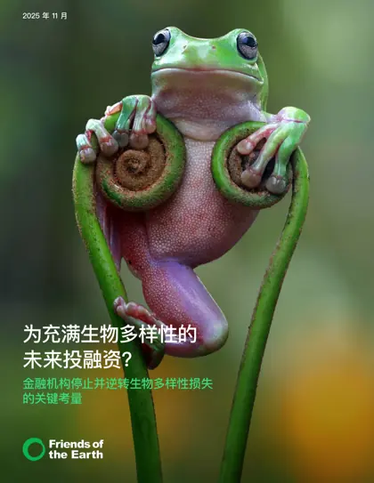 为充满生物多样性的未来投融资？金融机构停止并逆转生物多样性损失的关键考量封面