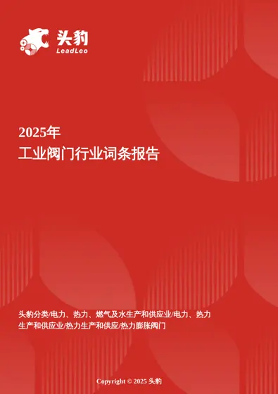 2025年工业阀门行业词条报告封面