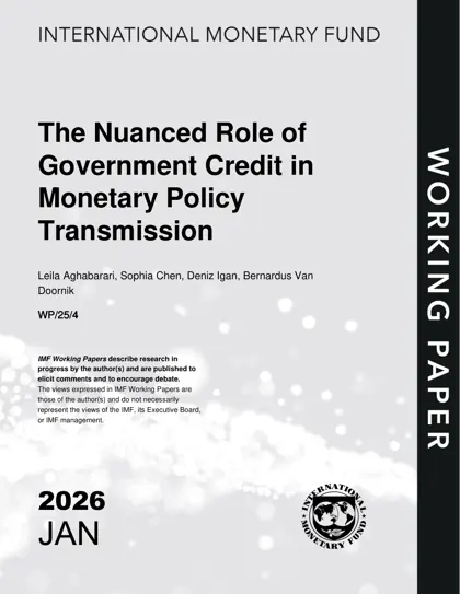 The Nuanced Role of Government Credit in Monetary Policy Transmission封面