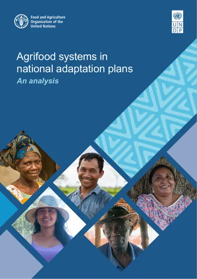 Agrifood systems in national adaptation plans: An analysis封面