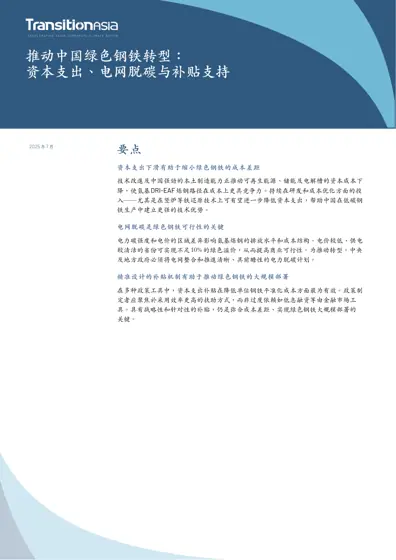 推动中国绿色钢铁转型：资本支出、电网脱碳与补贴支持封面
