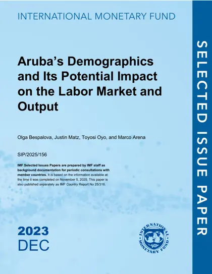 Aruba’s Demographics and Its Potential Impact on the Labor Market and Output封面