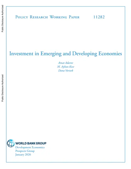 Investment in Emerging and Developing Economies封面