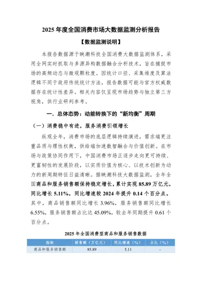 2025 年度全国消费市场大数据监测分析报告封面