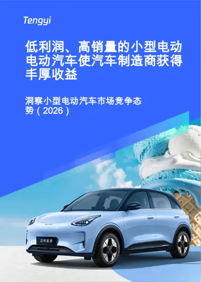 洞察小型电动汽车市场竞争态势(2026)封面