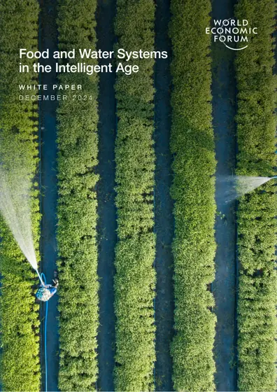 Food and Water Systems in the Intelligent Age封面