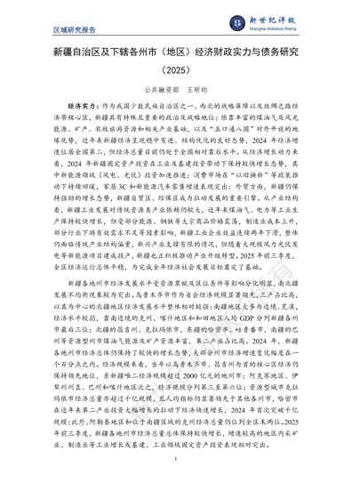 新疆自治区及下辖各州市(地区)经济财政实力与债务研究(2025)封面