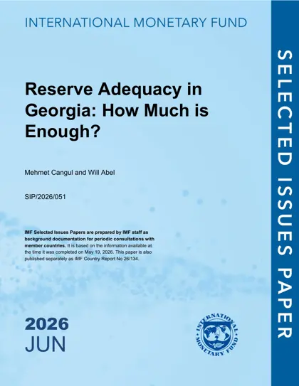 Reserve Adequacy in Georgia: How Much is Enough?封面