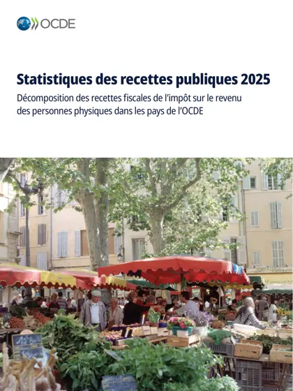 公共收入统计2025：OECD国家个人所得税税收收入分解封面
