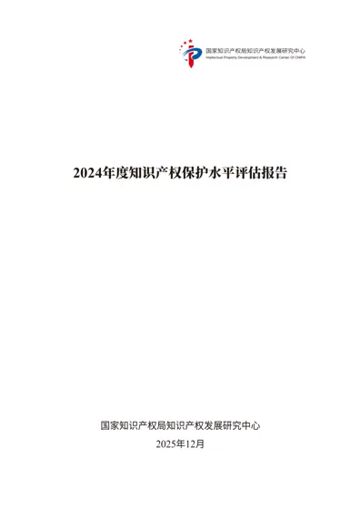 2024年度知识产权保护水平评估报告封面