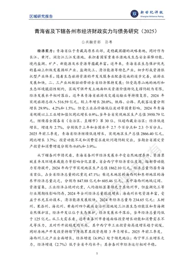 青海省及下辖各州市经济财政实力与债务研究（2025）封面