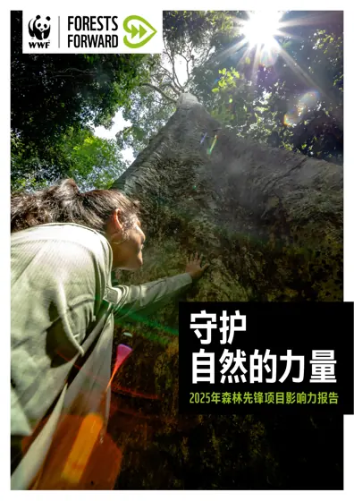 2025年森林先锋项目影响力报告封面