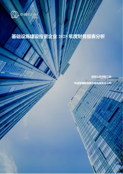 基础设施建设投资企业2025年度财务报表分析封面