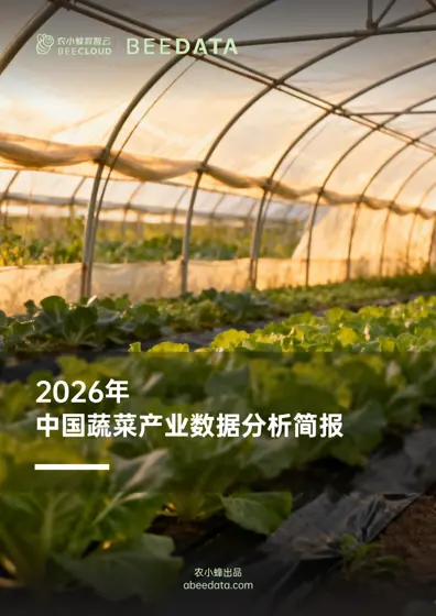 2026年中国蔬菜产业数据分析报告封面
