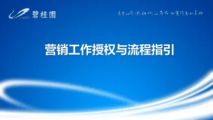 营销工作授权与流程指引封面