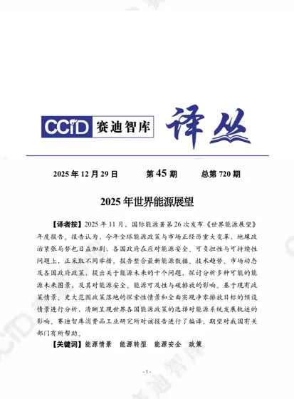 2025年世界能源展望封面