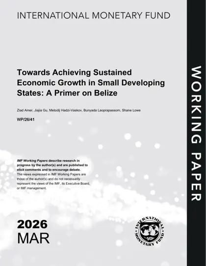 Towards Achieving Sustained Economic Growth in Small Developing States: A Primer on Belize封面