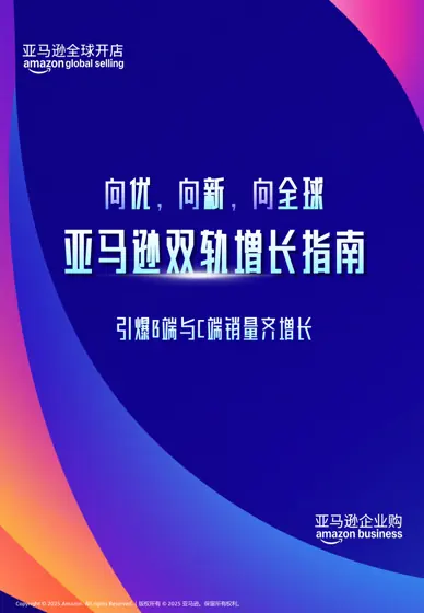 2025年亚马逊双轨增长指南封面